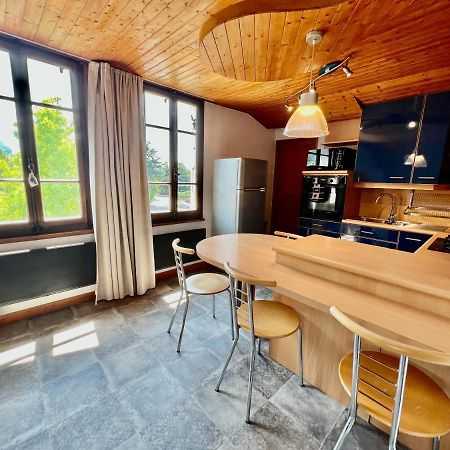 La Branche Du Cerisier Apartment อานซี ภายนอก รูปภาพ